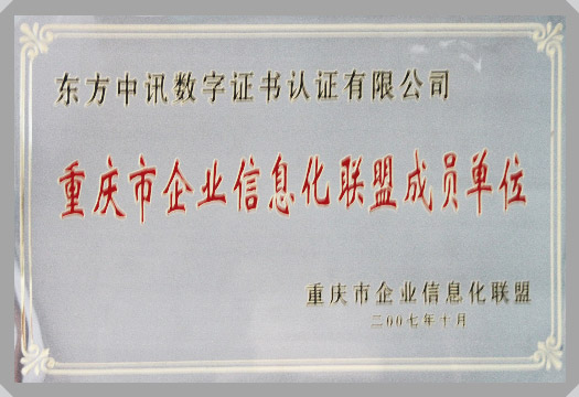 IT行業(yè)資質(zhì)及榮譽