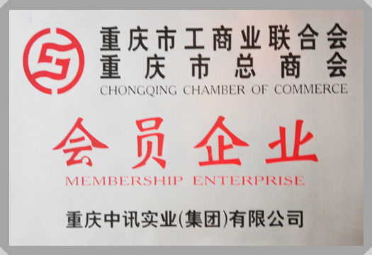 集團(tuán)榮譽(yù)