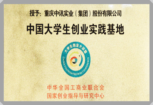 集團(tuán)榮譽(yù)