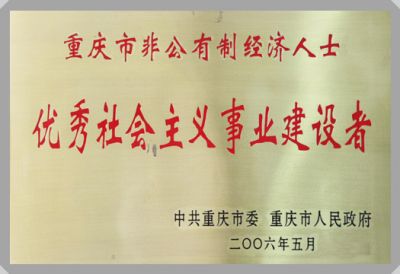 集團(tuán)榮譽(yù)