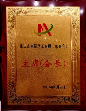 集團(tuán)榮譽(yù)